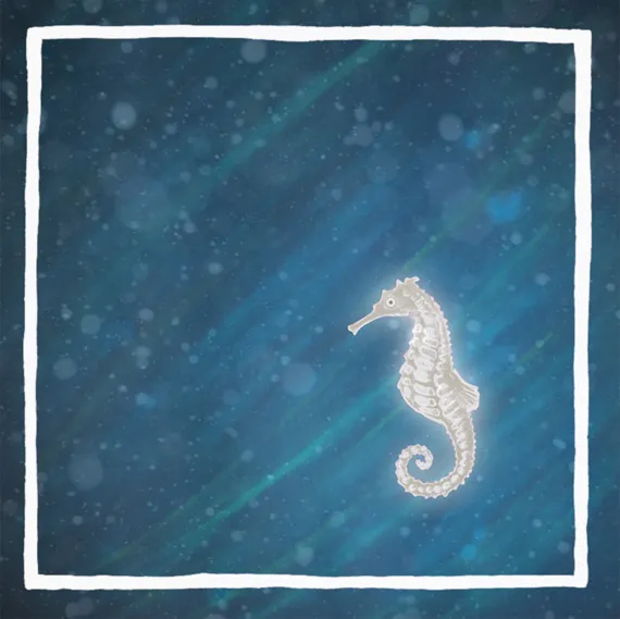 Seahorse by Helen Askew