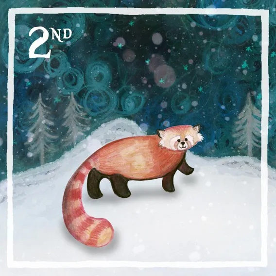 panda_568